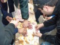/album/fotogaleria-corte-en-refineria-y-p-f-la-plata/sindicato-la-plata-y-p-f-100-jpg/